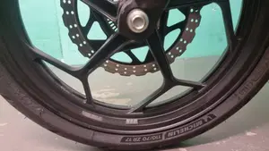 Kawasaki Ninja 300 ABS (2012 - 16)  (12)