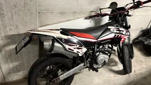 Betamotor RR 125 4T Motard LC (2018 - 20)  (8)