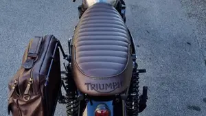 Triumph Bonneville SE (2009 - 13)  (3)