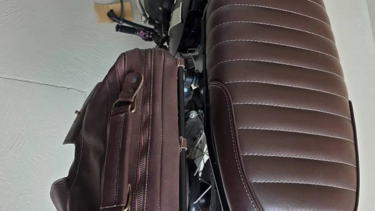 Triumph Bonneville SE (2009 - 13)  (7)