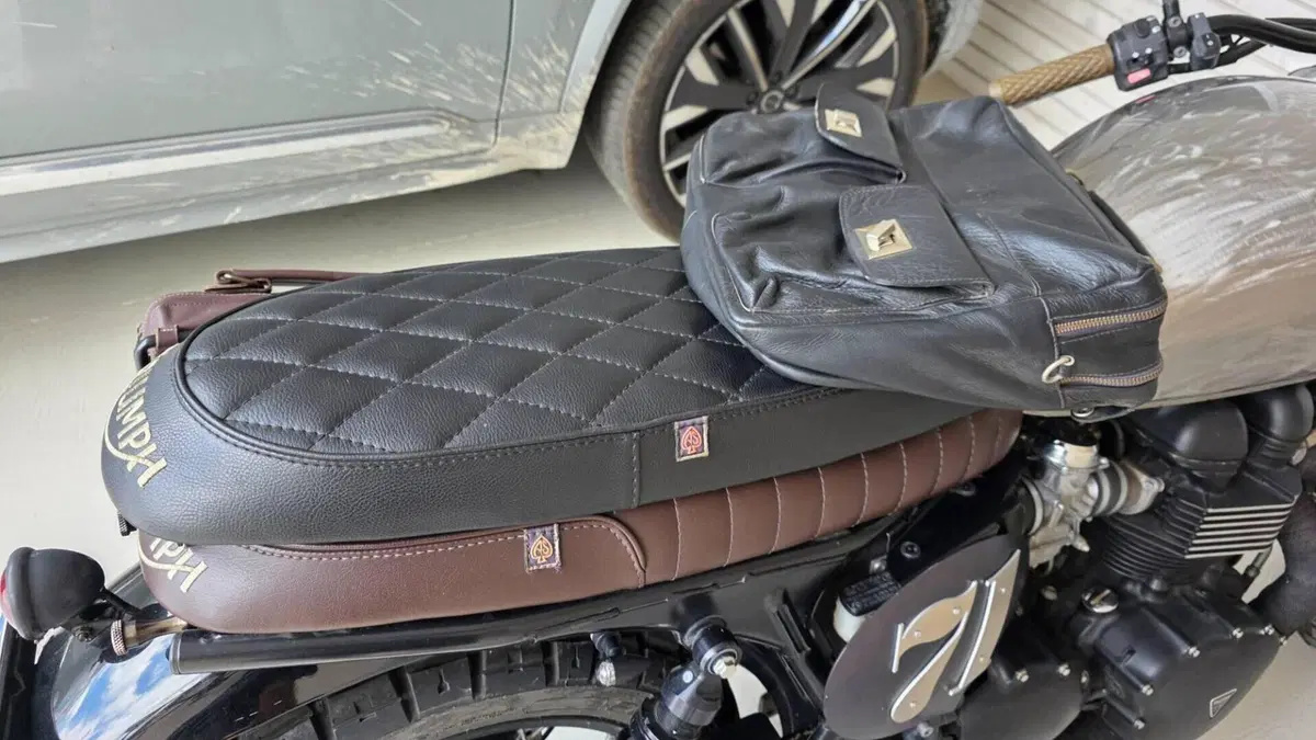 Triumph Bonneville SE (2009 - 13)  (8)