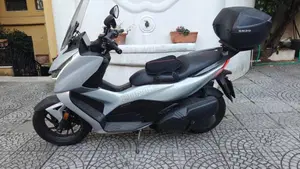 Zontes ZT350-D (2023 - 25)  (6)