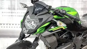 Kawasaki Z 125 (2025 - 26)  (4)