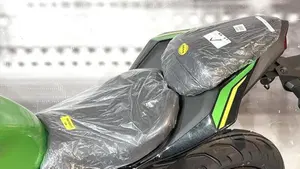 Kawasaki Z 125 (2025 - 26)  (5)