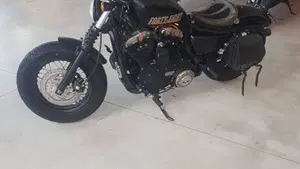 Harley-Davidson 1200 Forty-Eight (2010 - 15)  (3)