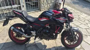 Kawasaki Z 650 (2021 - 24) 