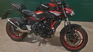 Kawasaki Z 650 (2021 - 24)  (11)