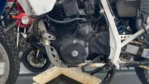 Honda   (13)