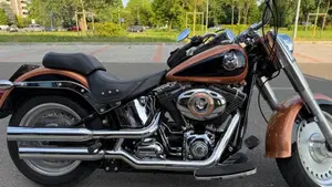 Harley-Davidson 1584 Fat Boy (2008 - 10) - FLSTF  (4)