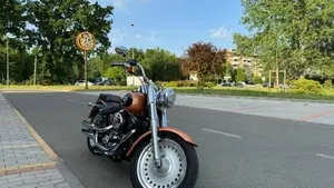 Harley-Davidson 1584 Fat Boy (2008 - 10) - FLSTF  (5)
