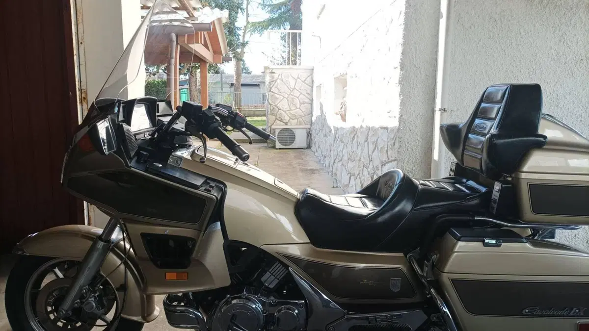 Suzuki   (2)