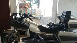Suzuki   (2)