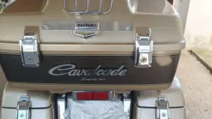 Suzuki   (4)