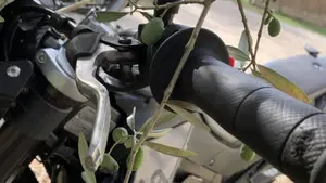 Aprilia SX 125 (2018 - 20)  (10)