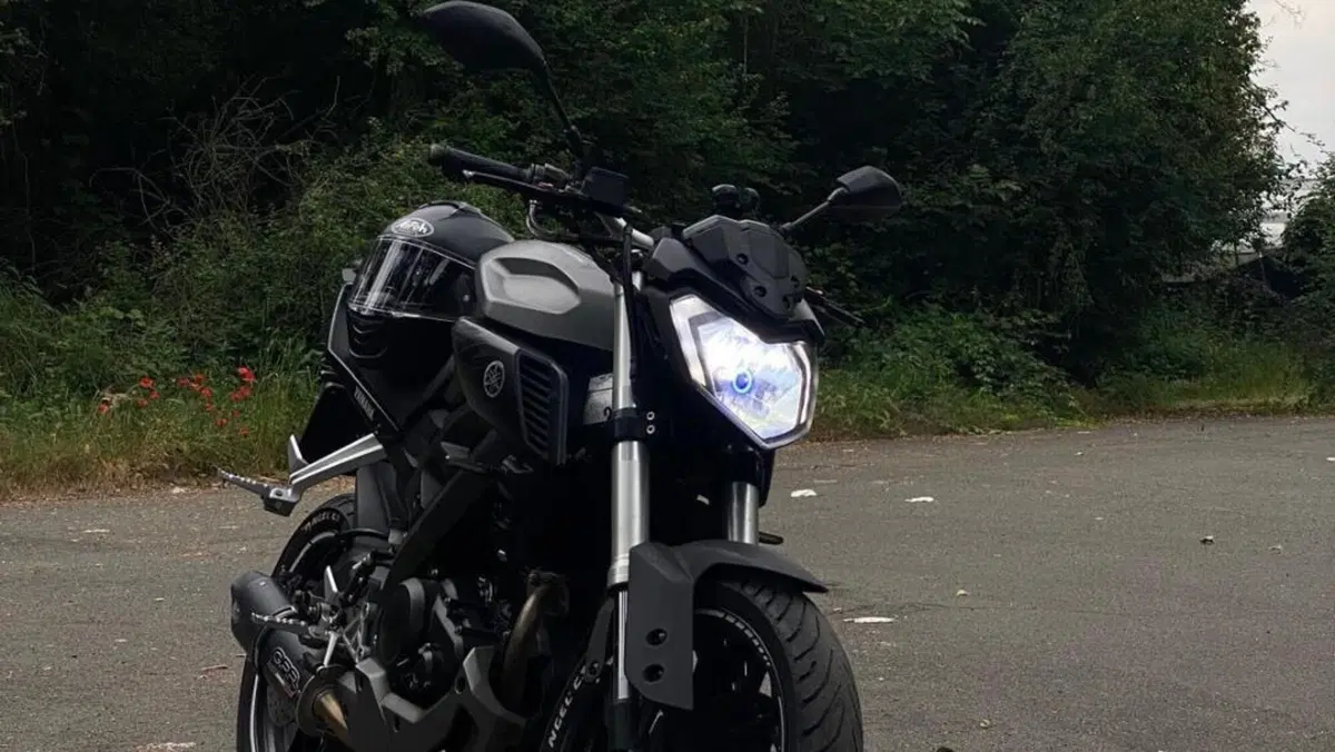 Yamaha MT-125 (2014 - 16)  (4)