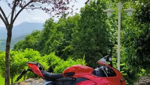Ducati Panigale V2 955 (2020) 