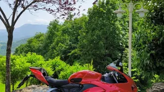 Ducati Panigale V2 955 (2020) usata