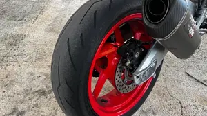 Aprilia RS 660 Extrema (2023 - 24)  (7)