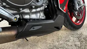 Aprilia RS 660 Extrema (2023 - 24)  (9)