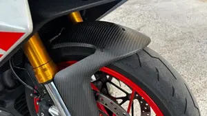 Aprilia RS 660 Extrema (2023 - 24)  (10)