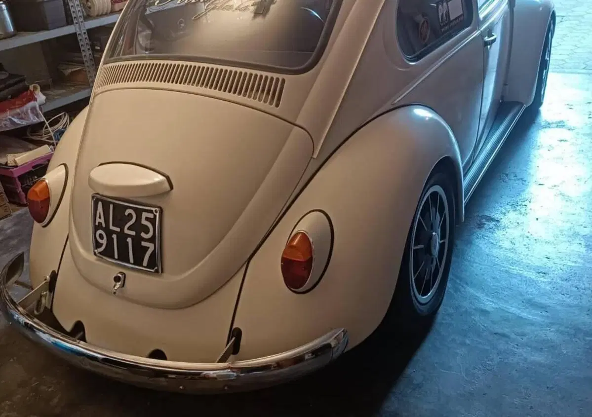 Volkswagen Maggiolino  (2)