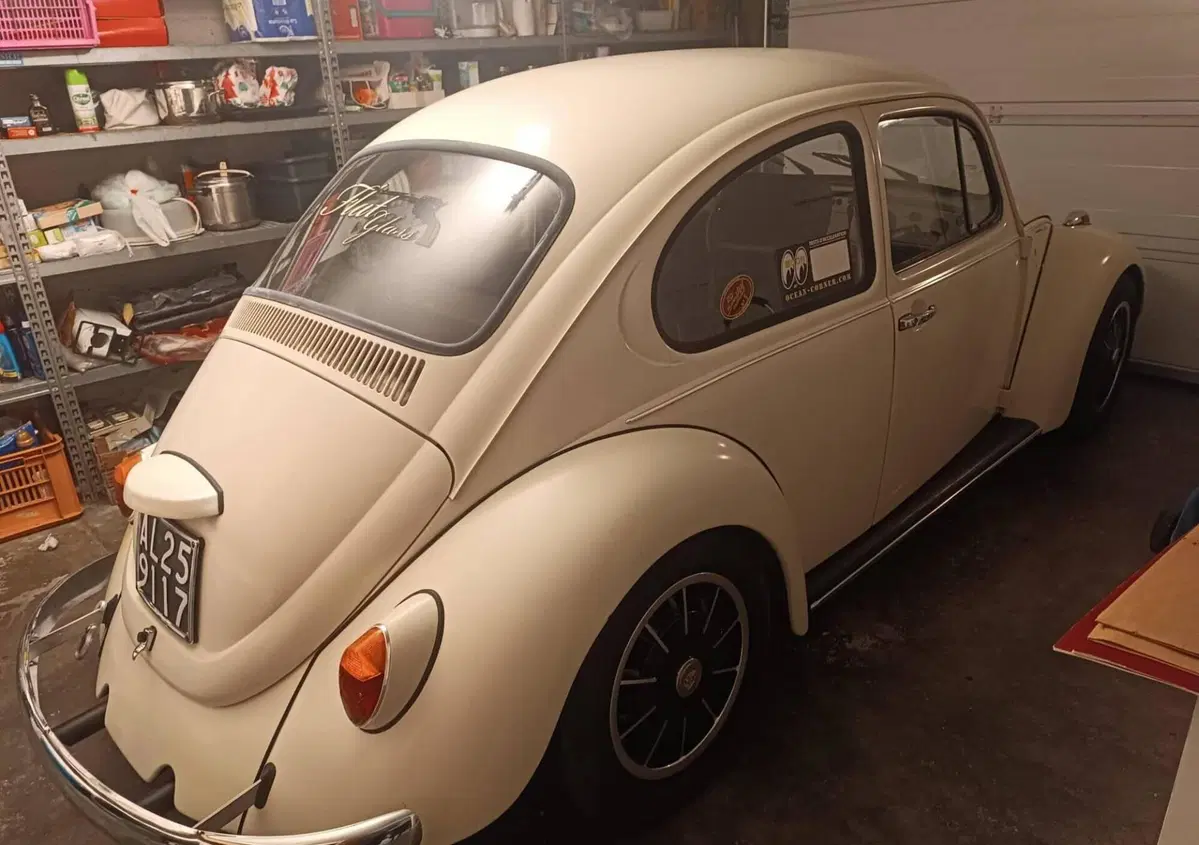 Volkswagen Maggiolino  (3)
