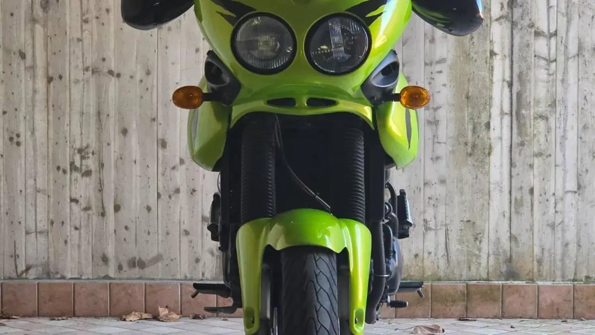 Triumph Tiger 955 (2002 - 06)  (5)
