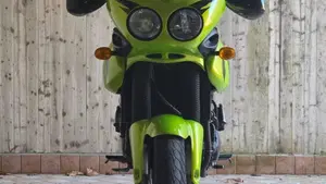 Triumph Tiger 955 (2002 - 06)  (5)