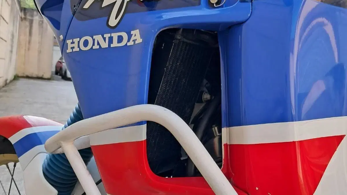 Honda Africa Twin XRV 650  (6)