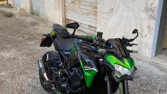 Kawasaki Z 900 (2020) usata