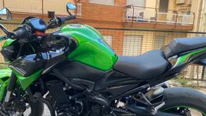 Kawasaki Z 900 (2020)  (9)