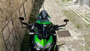 Kawasaki Z 900 (2020)  (10)