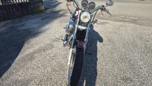 Harley-Davidson 1200 Roadster (2006 - 08) - XL 1200R  (3)