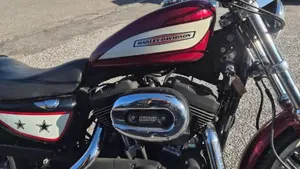 Harley-Davidson 1200 Roadster (2006 - 08) - XL 1200R  (5)