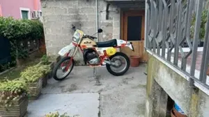 KTM   (6)