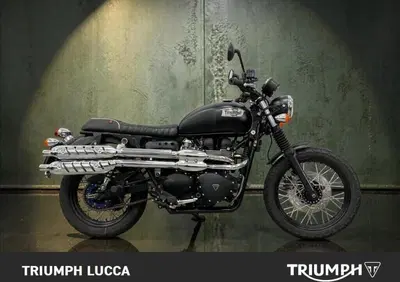Triumph Scrambler (2006 - 17) - Annuncio 9993846