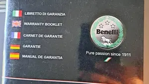 Benelli Leoncino 500 Trail ABS (2017 - 20)  (7)