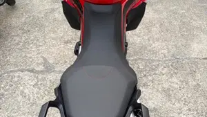 Ducati Multistrada 1260 Enduro (2019 - 21)  (8)