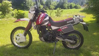 Suzuki DR 650 R (1990 - 91) usata