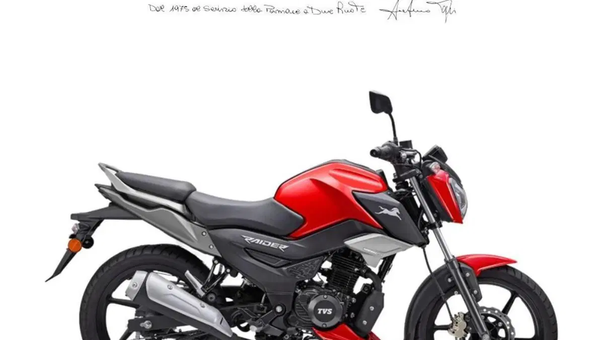 TVS Motor Raider 125 (2024 - 26) 