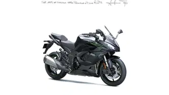 Kawasaki Ninja 1100 SX (2025 - 26)