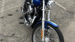 Harley-Davidson 1200 Custom (2007 - 13) - XL 1200C 