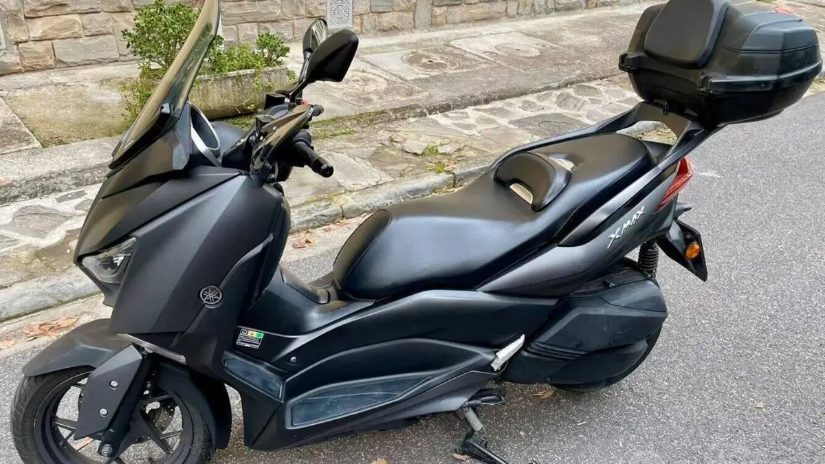 Yamaha X-Max 300 ABS (2017 - 20)  (2)