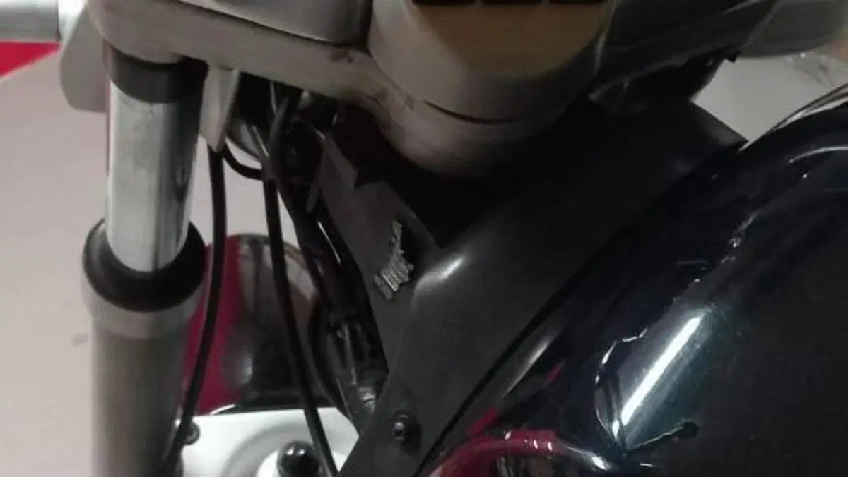 Bmw R 1100 R  (7)