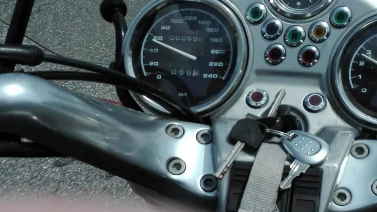 Bmw R 1100 R  (8)