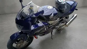 Honda VTR 1000 F Firestorm (2001 - 07) 