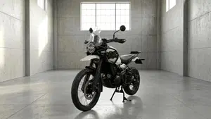 Royal Enfield Himalayan 450 (2024 - 26)  (3)