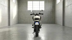 Royal Enfield Himalayan 450 (2024 - 26)  (4)