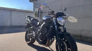Yamaha FZ6 S2 (2007 - 11)  (4)