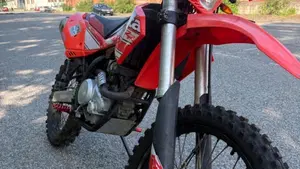 Betamotor RR 125 4T Enduro LC (2016 - 17)  (3)